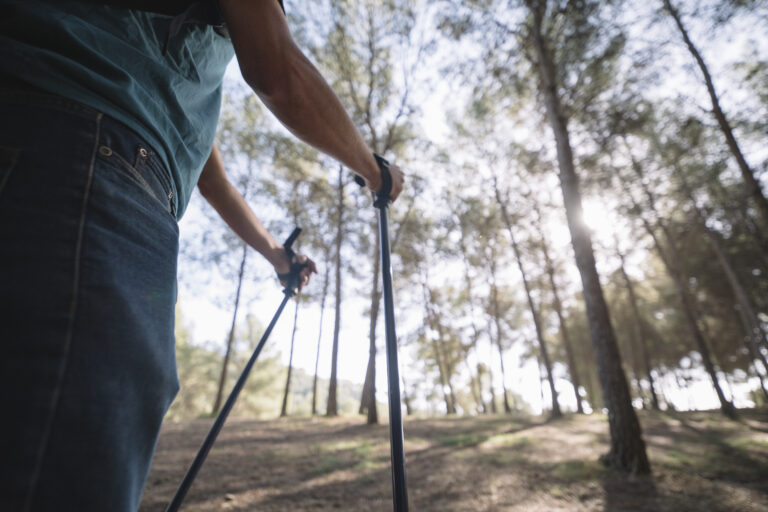 Konzepteinweisung Nordic Walking